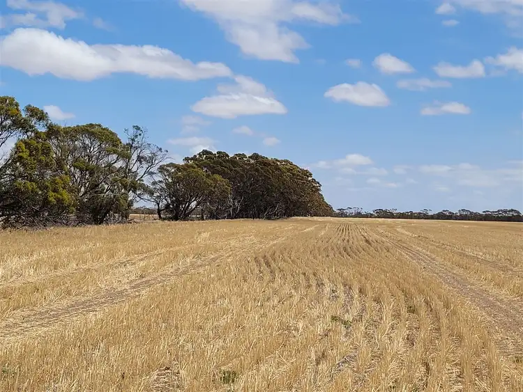 Third view of Homely rural property listing, ' Rosebrook', Nyabing WA 6341