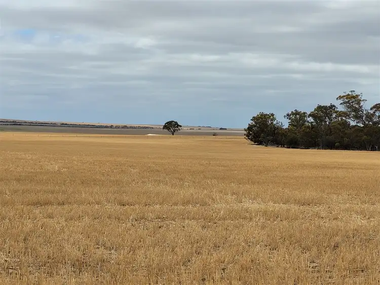 Fifth view of Homely rural property listing, ' Rosebrook', Nyabing WA 6341