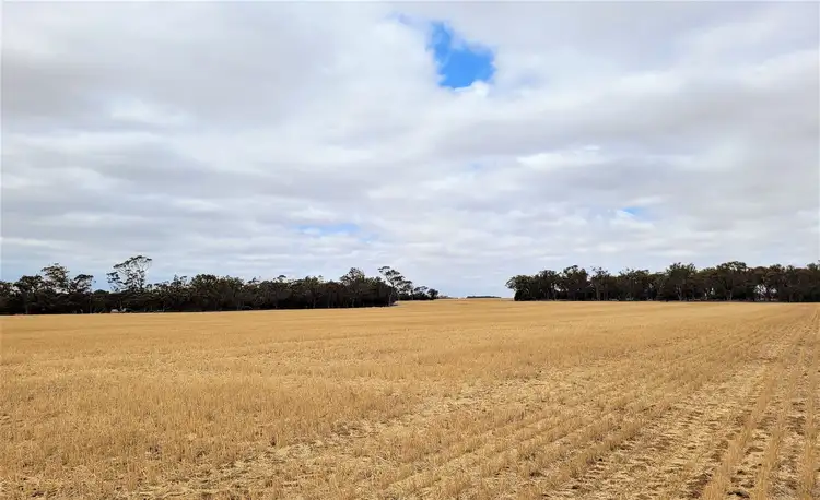 Seventh view of Homely rural property listing, ' Rosebrook', Nyabing WA 6341