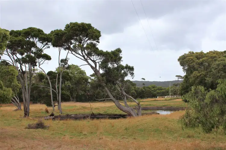 Main view of Homely rural property listing, 565 Lake Saide Road, Youngs Siding WA 6330