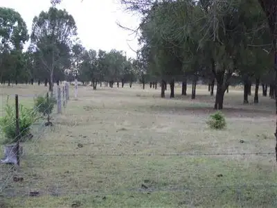 Second view of Homely rural property listing, South Side Acreage, Leyburn QLD 4365