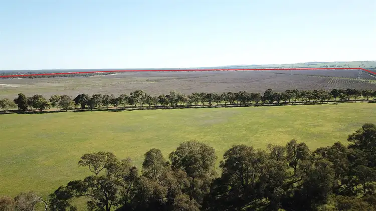 Sixth view of Homely rural property listing, Lot M1254 Hunter Road, Orange Springs, Gingin WA 6503