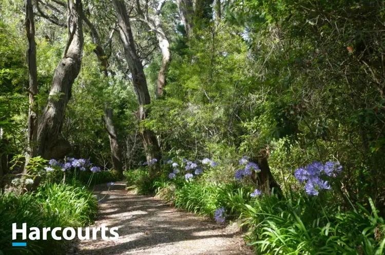 Second view of Homely rural property listing, 1703 Mornington Flinders Road, Flinders VIC 3929