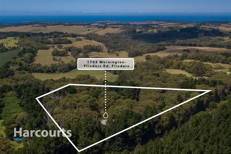 Third view of Homely rural property listing, 1703 Mornington Flinders Road, Flinders VIC 3929