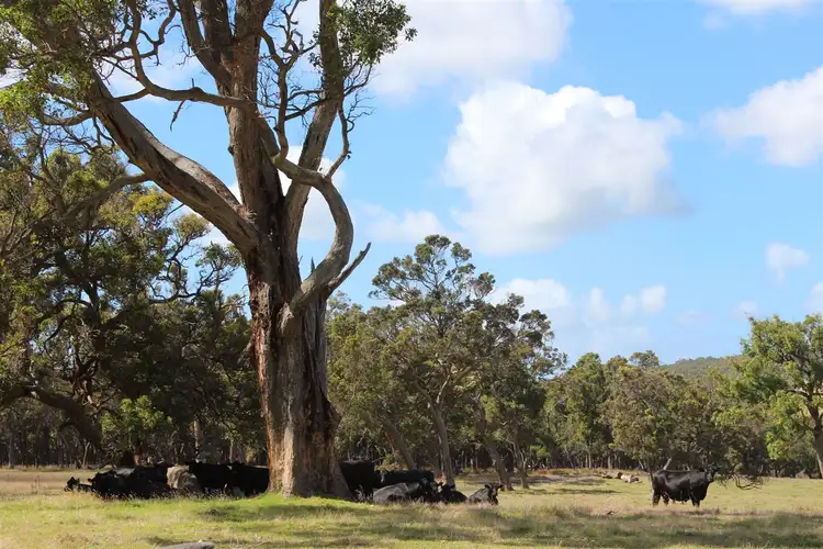 76 Mount Boyle Road, Kalgan WA 6330