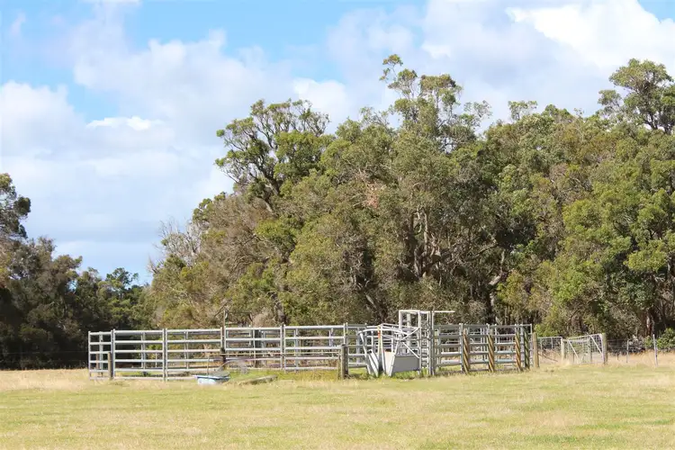 Fifth view of Homely rural property listing, 76 Mount Boyle Road, Kalgan WA 6330