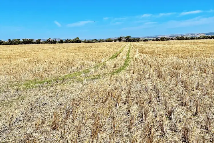 Second view of Homely rural property listing, Sec 509 Cnr Navarino Road & Nine Mile Road, Angas Plains SA 5255
