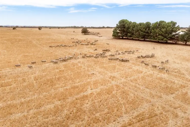 Fifth view of Homely rural property listing, Sec 509 Cnr Navarino Road & Nine Mile Road, Angas Plains SA 5255