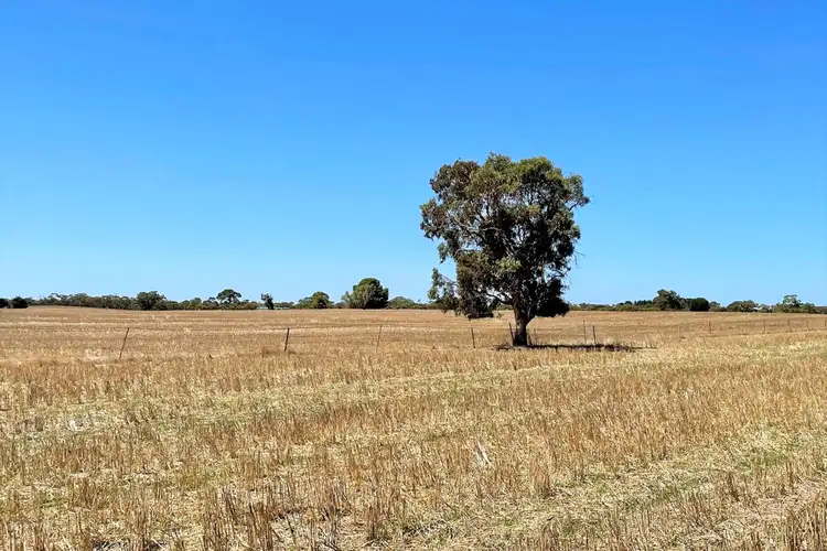 Sixth view of Homely rural property listing, Sec 509 Cnr Navarino Road & Nine Mile Road, Angas Plains SA 5255