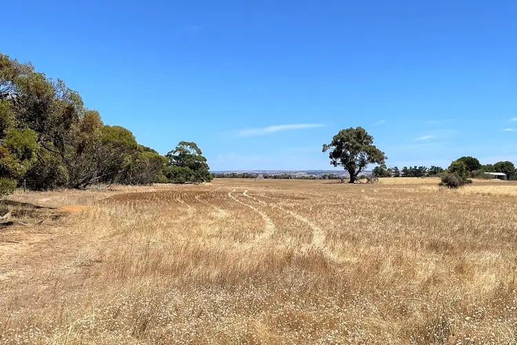 Seventh view of Homely rural property listing, Sec 509 Cnr Navarino Road & Nine Mile Road, Angas Plains SA 5255