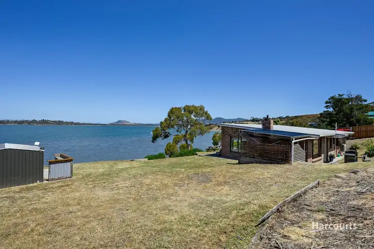 569 Shark Point Road