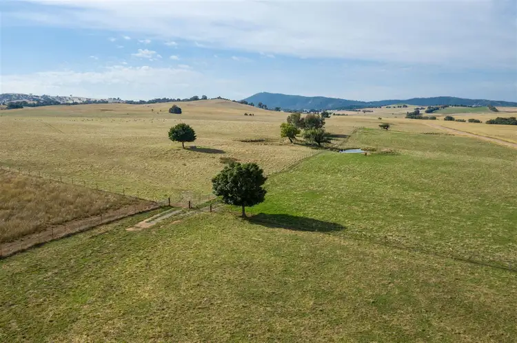 Third view of Homely rural property listing, Ravenhoe Walteela Road, Tumbarumba NSW 2653