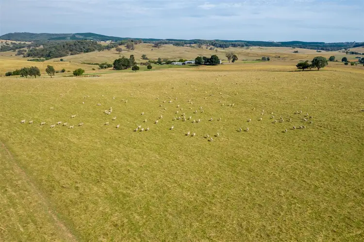 Fourth view of Homely rural property listing, Ravenhoe Walteela Road, Tumbarumba NSW 2653
