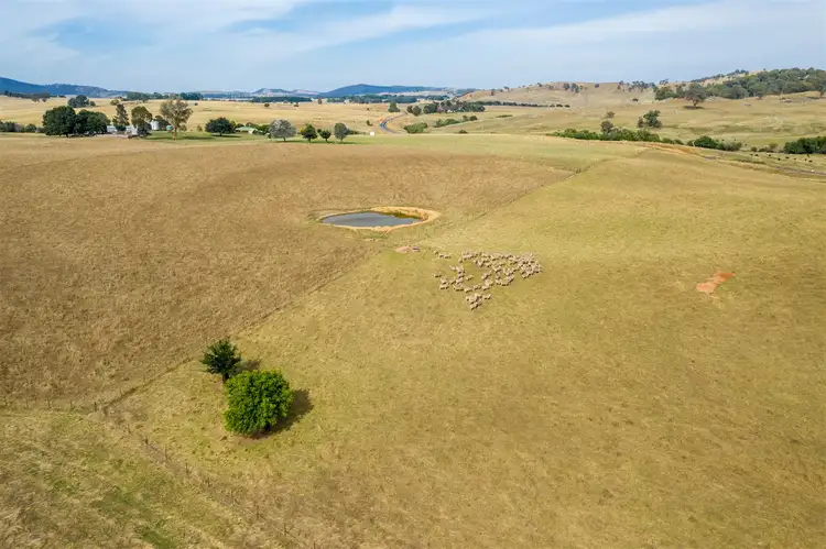 Fifth view of Homely rural property listing, Ravenhoe Walteela Road, Tumbarumba NSW 2653