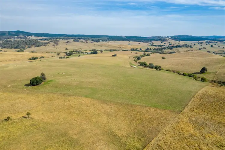 Seventh view of Homely rural property listing, Ravenhoe Walteela Road, Tumbarumba NSW 2653