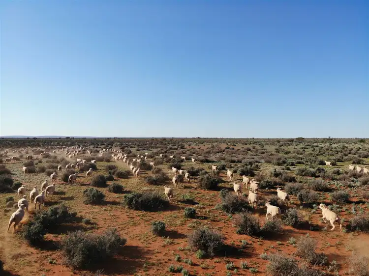 Third view of Homely rural property listing, 13206 Barrier Highway, Broken Hill NSW 2880