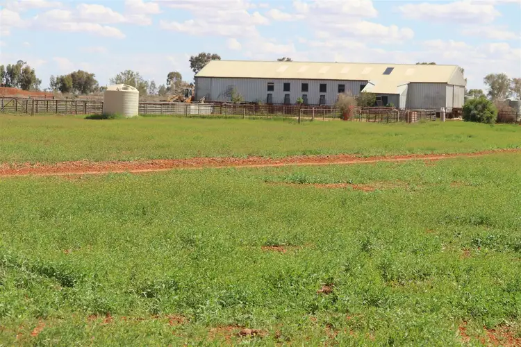 Fifth view of Homely rural property listing, 13206 Barrier Highway, Broken Hill NSW 2880