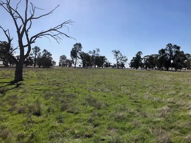 Second view of Homely rural property listing, . Berryman Road, Mathoura NSW 2710