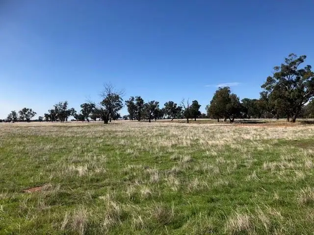 Third view of Homely rural property listing, . Berryman Road, Mathoura NSW 2710