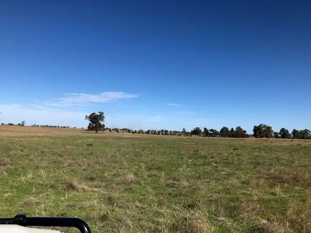 Sixth view of Homely rural property listing, . Berryman Road, Mathoura NSW 2710