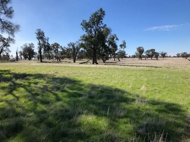 Seventh view of Homely rural property listing, . Berryman Road, Mathoura NSW 2710
