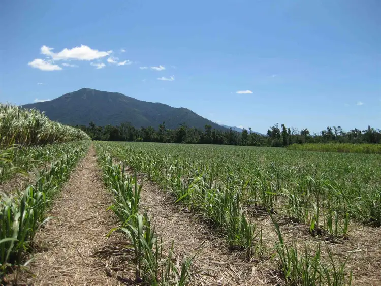 Fifth view of Homely rural property listing, Address available on request