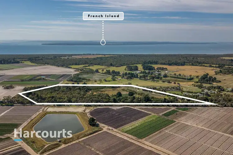 Sixth view of Homely rural property listing, 53 Tyabb-Tooradin Road, Somerville VIC 3912