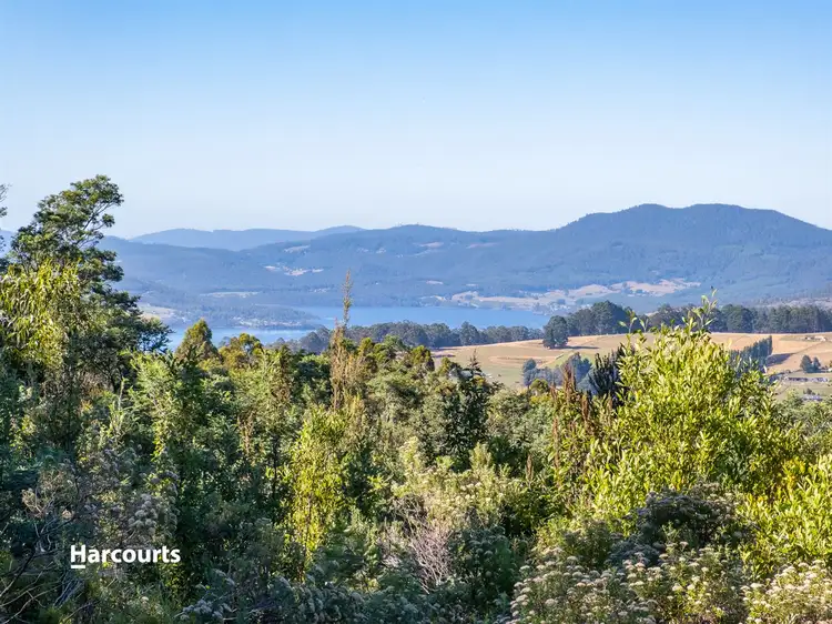 Second view of Homely land listing, 38 Deering Street, Franklin TAS 7113