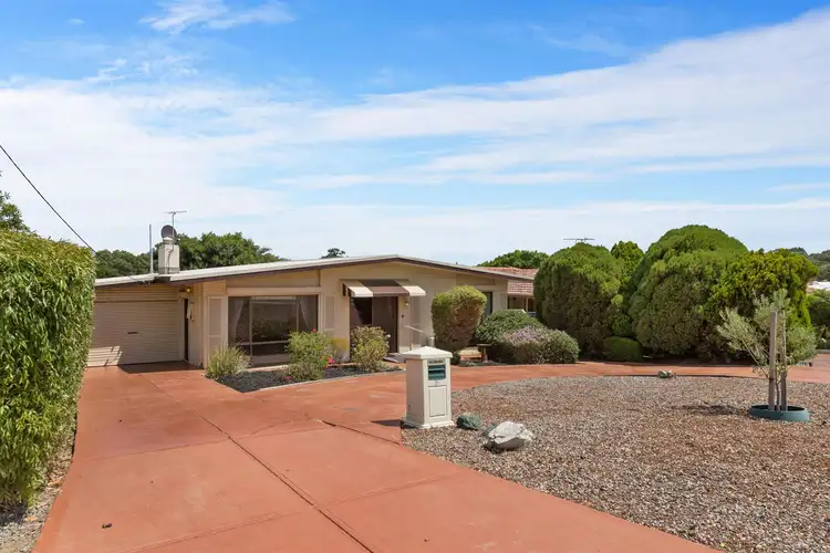 31 Skeahan Street, Spearwood WA 6163