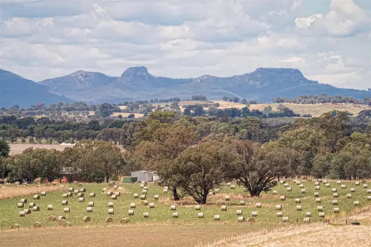 Main view of Homely rural property listing, Range View 228 Stony Park Road, Jindera NSW 2642