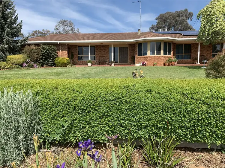 Third view of Homely rural property listing, Range View 228 Stony Park Road, Jindera NSW 2642