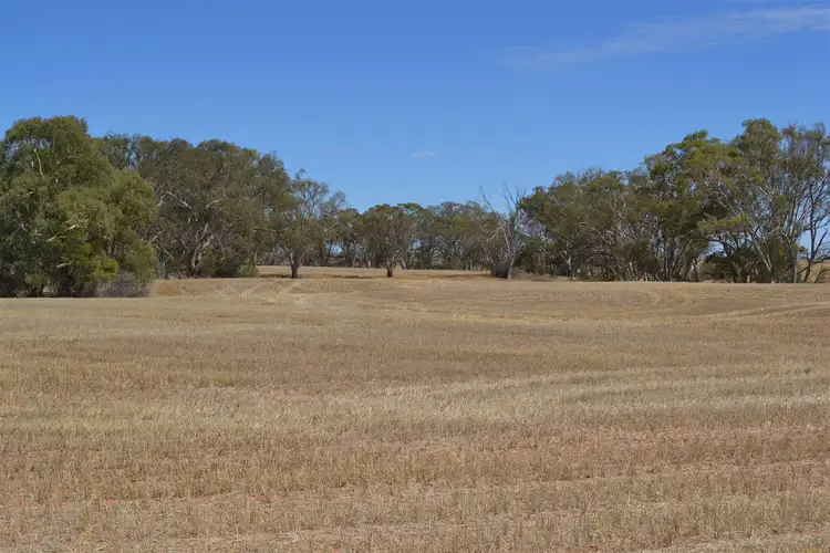 Second view of Homely rural property listing, Lot 6 Dunns Road, Balaklava SA 5461