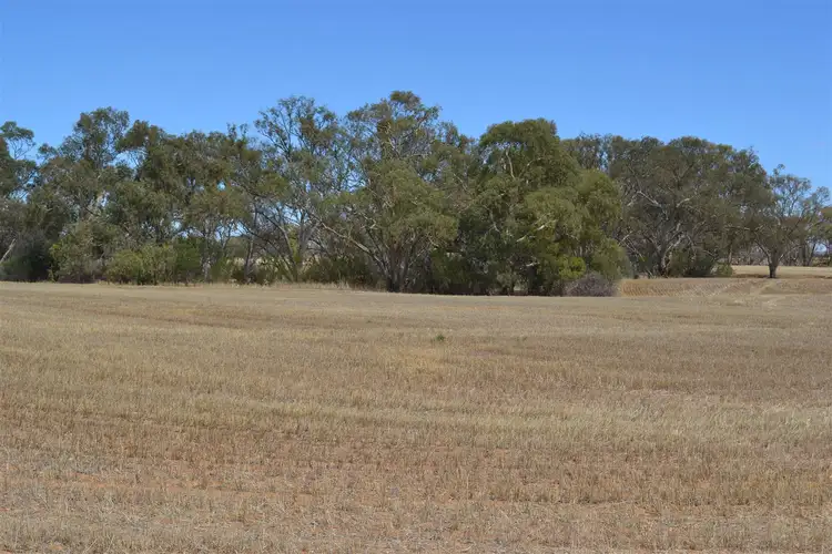 Third view of Homely rural property listing, Lot 6 Dunns Road, Balaklava SA 5461
