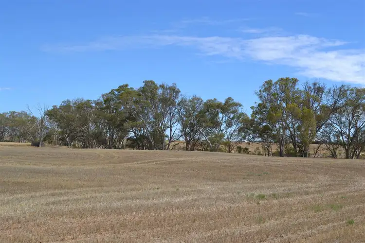 Fourth view of Homely rural property listing, Lot 6 Dunns Road, Balaklava SA 5461