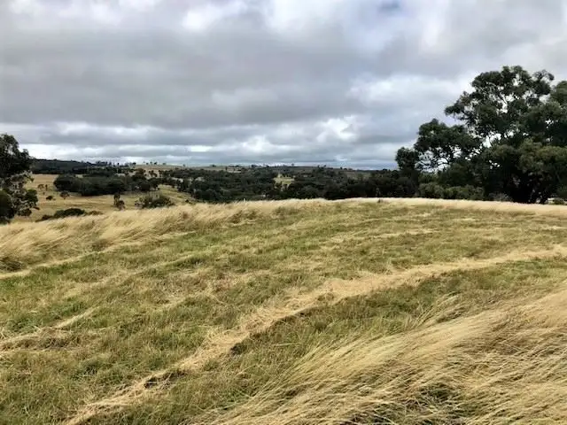 Third view of Homely rural property listing, Lot 4/Part 'Beechworth' 60 Beechworth Road Hargraves, Mudgee NSW 2850