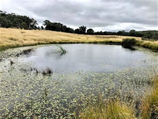 Fifth view of Homely rural property listing, Lot 4/Part 'Beechworth' 60 Beechworth Road Hargraves, Mudgee NSW 2850