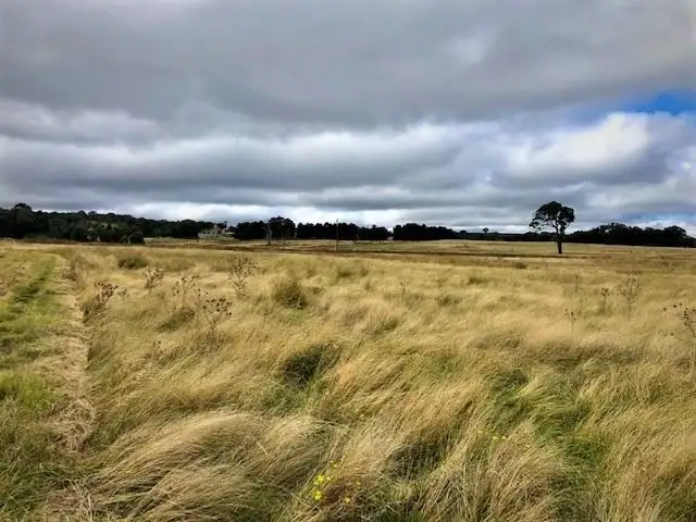 Sixth view of Homely rural property listing, Lot 4/Part 'Beechworth' 60 Beechworth Road Hargraves, Mudgee NSW 2850