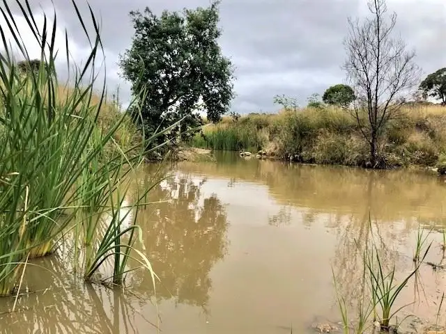 Seventh view of Homely rural property listing, Lot 4/Part 'Beechworth' 60 Beechworth Road Hargraves, Mudgee NSW 2850