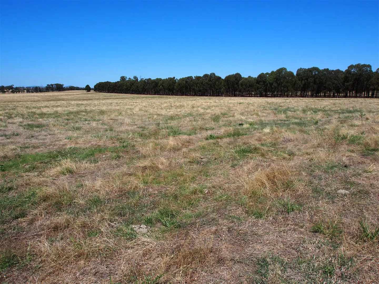 Main view of Homely rural property listing, 947 Tarnook Rd, Goomalibee VIC 3673