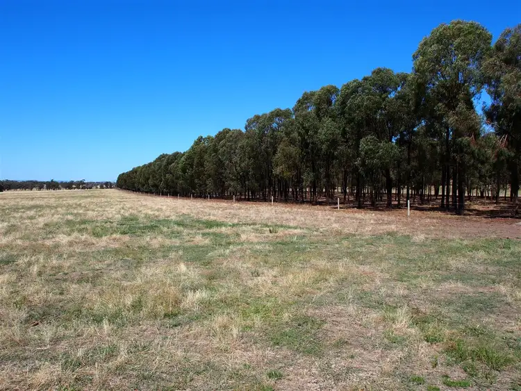 Fifth view of Homely rural property listing, 947 Tarnook Rd, Goomalibee VIC 3673