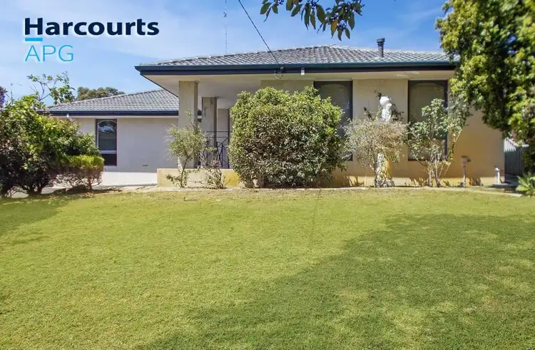 17 Scott Crescent, East Bunbury WA 6230