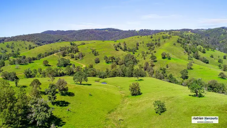 Seventh view of Homely rural property listing, "BRIDLEVALE" 83 Nuggety Gully Road, Nowendoc NSW 2354