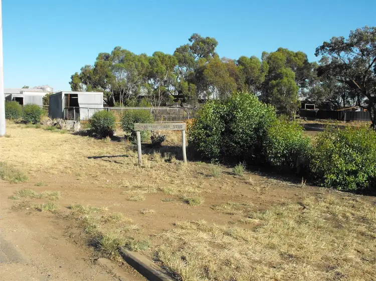 14B Percy St, Birchip VIC 3483