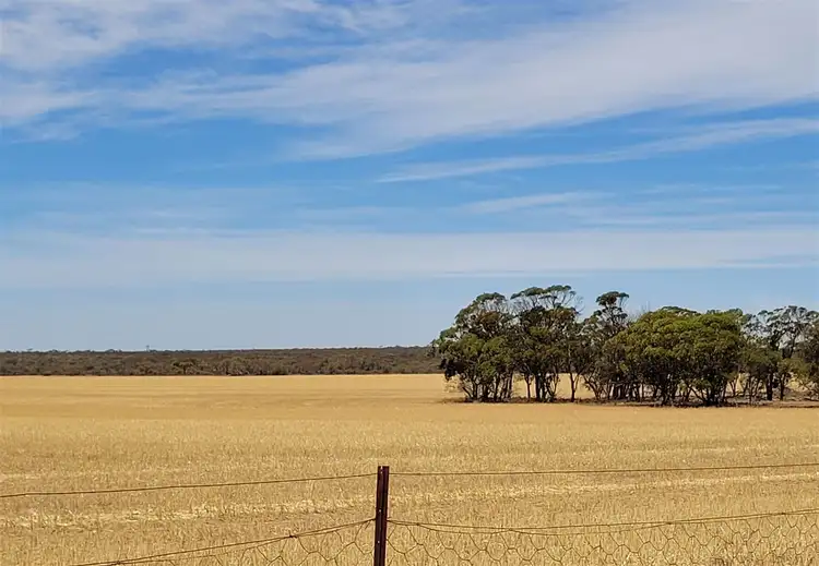 Second view of Homely rural property listing, . Gold Creek, Nungarin WA 6490
