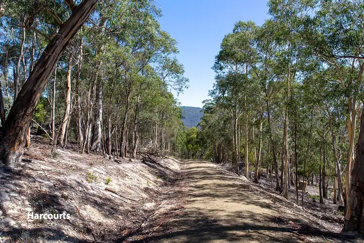 Fourth view of Homely rural property listing, 64 Boundary Creek Road, Judbury TAS 7109