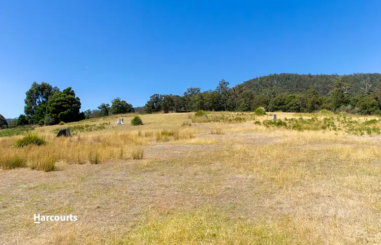 Fifth view of Homely rural property listing, 64 Boundary Creek Road, Judbury TAS 7109