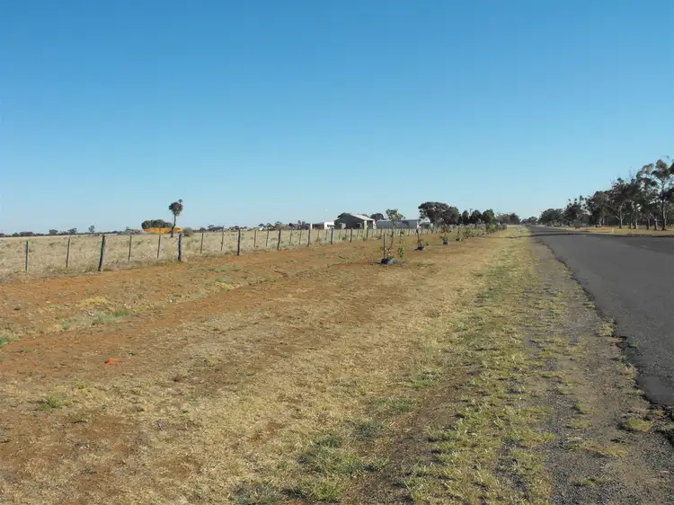 Main view of Homely rural property listing, 1092 Three Chain Rd, Birchip VIC 3483