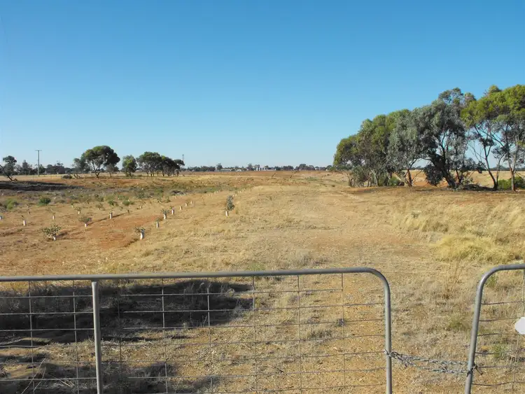 Third view of Homely rural property listing, 1092 Three Chain Rd, Birchip VIC 3483