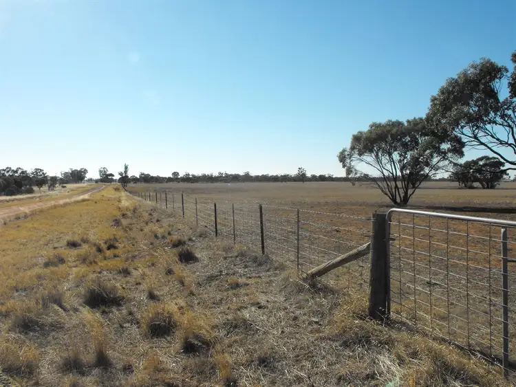 Sixth view of Homely rural property listing, 1092 Three Chain Rd, Birchip VIC 3483