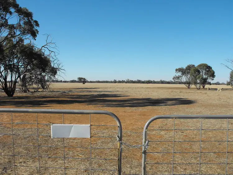 Seventh view of Homely rural property listing, 1092 Three Chain Rd, Birchip VIC 3483